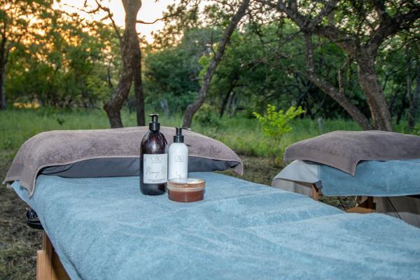 Thornhill Safari Lodge - 234724