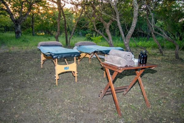 Thornhill Safari Lodge - 234725
