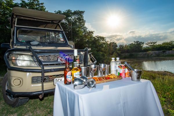 Thornhill Safari Lodge - 234726
