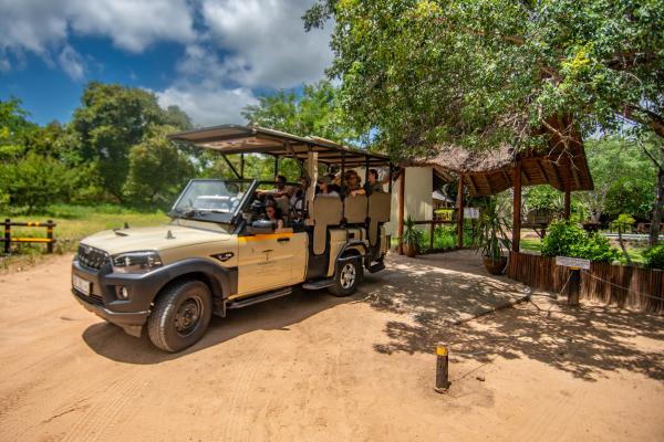 Thornhill Safari Lodge - 234727