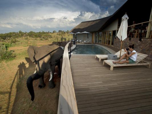 Mhondoro Safari Lodge & Villa - 235065