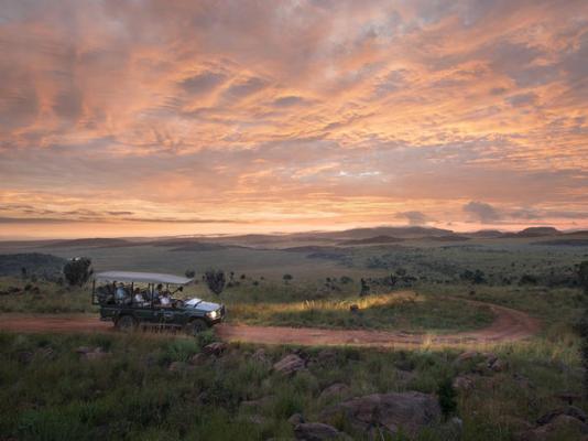 Mhondoro Safari Lodge & Villa - 235066