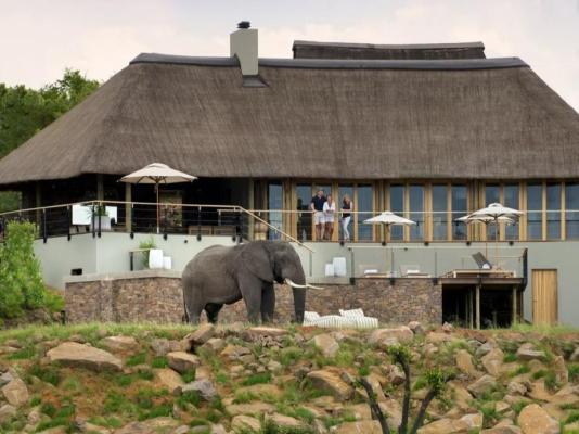 Mhondoro Safari Lodge & Villa - 235072