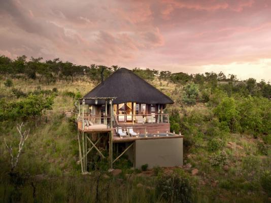 Mhondoro Safari Lodge & Villa - 235094