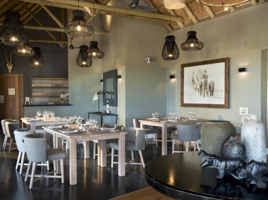 Mhondoro Safari Lodge & Villa - 235095
