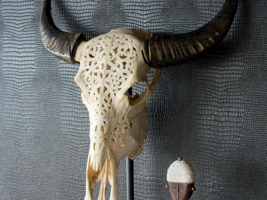 Mhondoro Safari Lodge & Villa - 235096