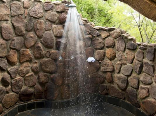 Mhondoro Safari Lodge & Villa - 235117