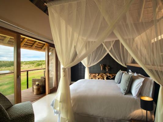 Mhondoro Safari Lodge & Villa - 235128