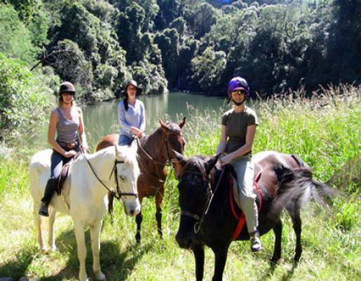 The Shire Eco Lodge