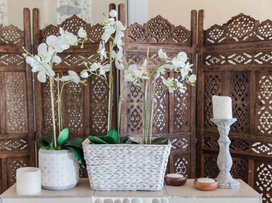 Umthunzi Hotel & Conference - 235667