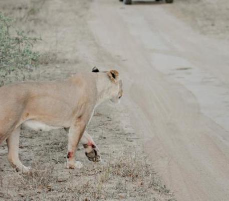 Moditlo River Lodge - 235844