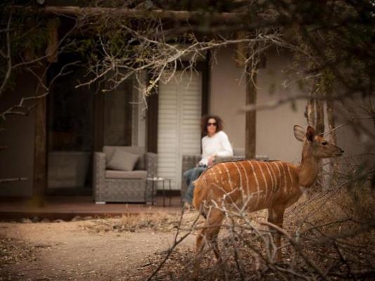 Moditlo River Lodge - 235860
