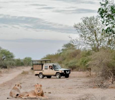 Moditlo River Lodge - 235861