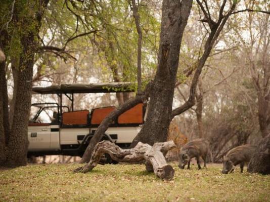 Moditlo River Lodge - 235867