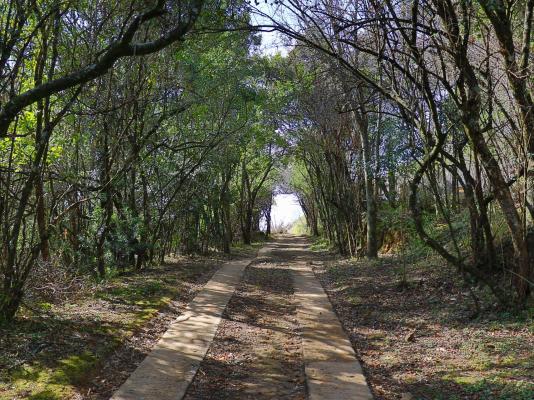 Kukummi Lodge - 235962