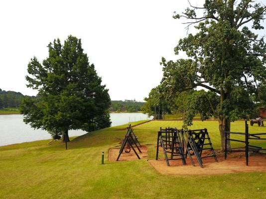 Pine Lake Inn - 236211