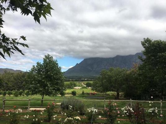 Summerhill Guest Farm - 236266