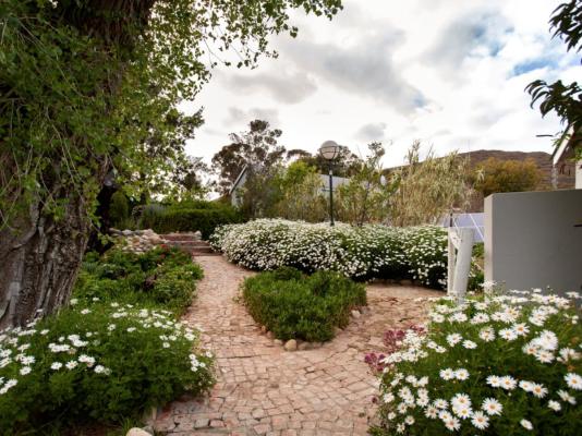 Summerhill Guest Farm - 236270