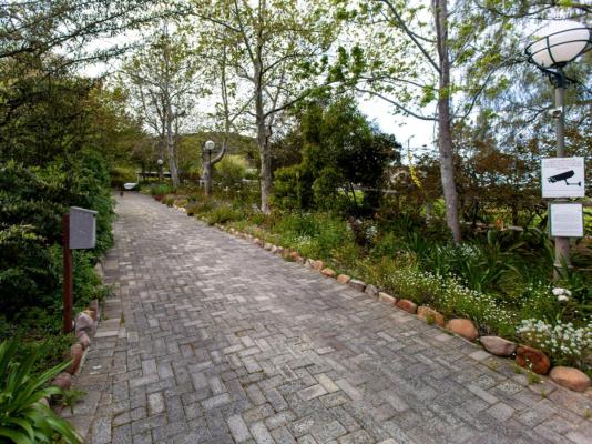 Summerhill Guest Farm - 236272