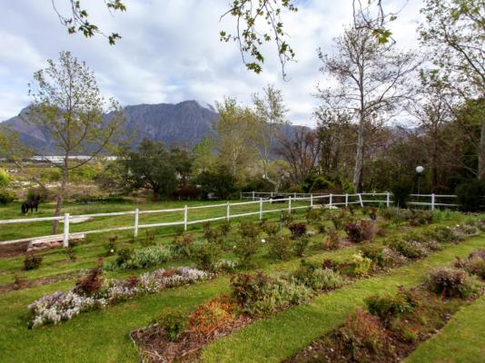 Summerhill Guest Farm - 236273