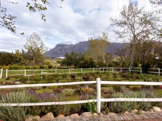 Summerhill Guest Farm - 236275