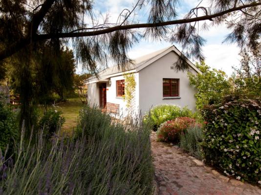 Summerhill Guest Farm - 236288
