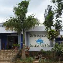 Turtle Bay Lodge - 236345
