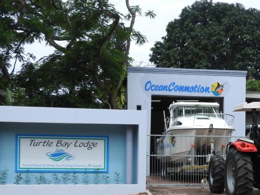 Turtle Bay Lodge - 236347
