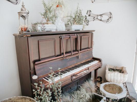 The Symphony Guesthouse - 236442