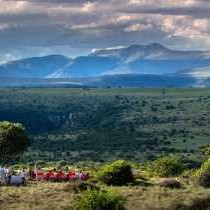 Samara Karoo Reserve - 236522