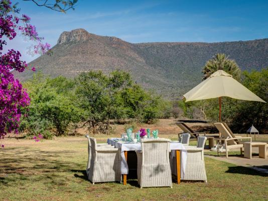 Samara Karoo Reserve - 236527