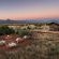 Plains Camp Exclusive-Use Plains Camp Exclusive-Use