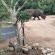 Rhino's Rest Private Luxury Villa - 236608 Rhino's Rest Private Luxury Villa - 236608