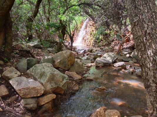 The Hank Adventure Lodge Maribashoek - 236681