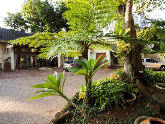 Tamboti Lodge - 236739