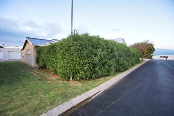 Sitawi, LAngebaan, 8 Sleeper - 237097