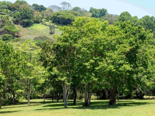 Satori's 419 Accommodation - 237130