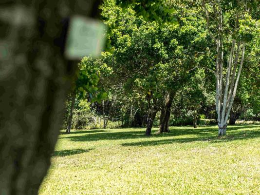Satori's 419 Accommodation - 237131