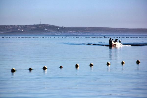 Tasties', Langebaan - 237313