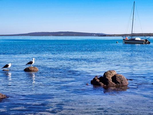 Tasties', Langebaan - 237319