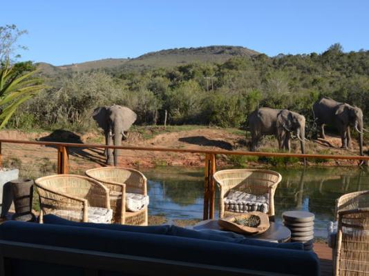 Barefoot Addo Elephant Lodge - 237337