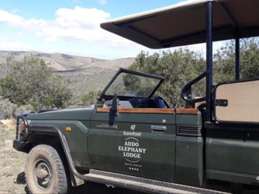 Barefoot Addo Elephant Lodge - 237344