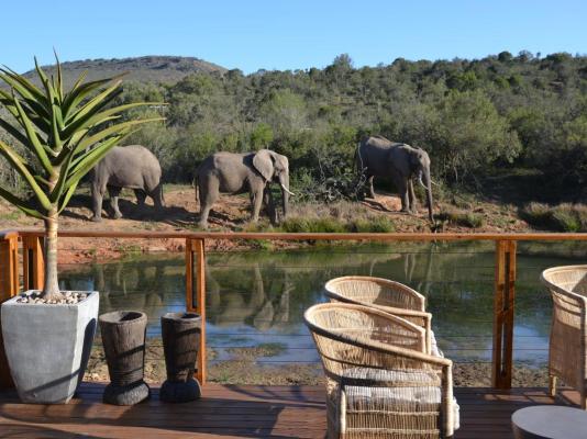 Barefoot Addo Elephant Lodge - 237352