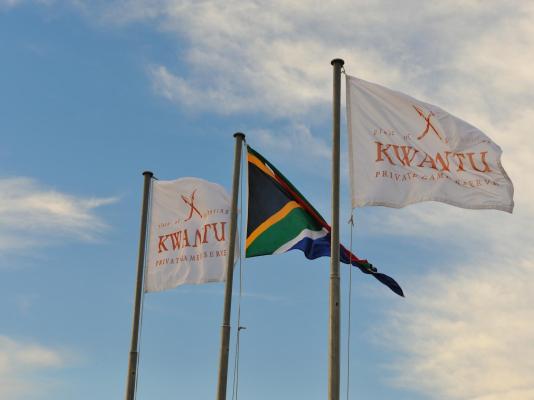 Kwantu Private Game Reserve - 237403
