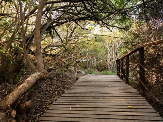 Kwantu Private Game Reserve - 237409
