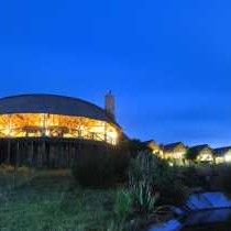 Kwantu Private Game Reserve - 237410