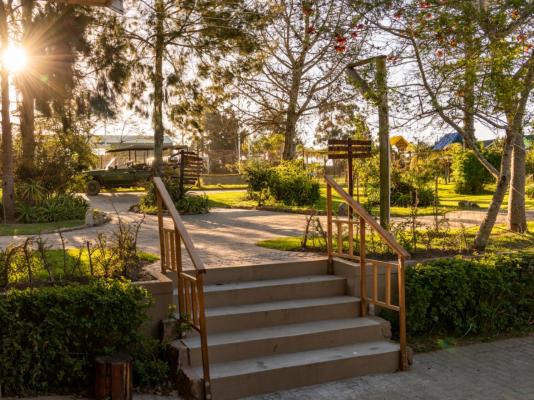 Kwantu Private Game Reserve - 237414