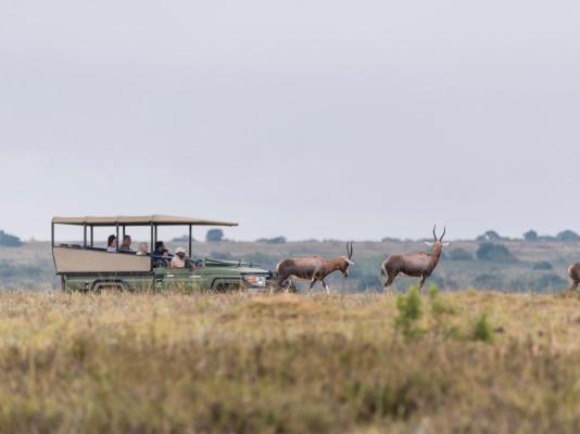 Kwantu Private Game Reserve - 237417