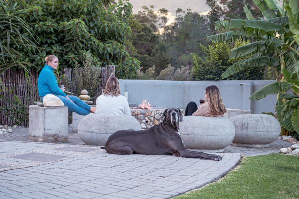 A Riverbed Guesthouse - 237722