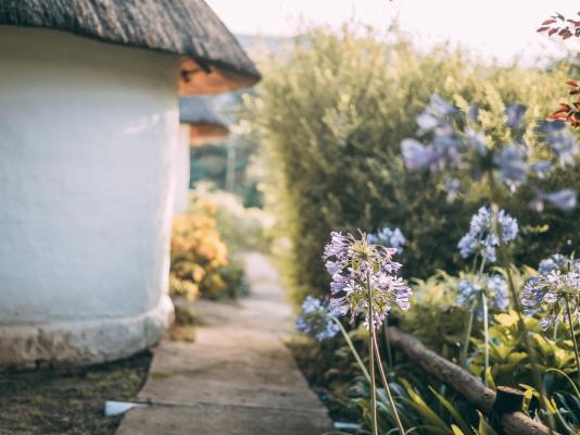 Wyndford Holiday Farm - 237844